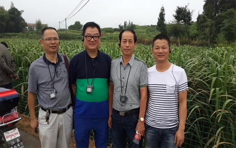 2014年8月，中國蔬菜流通協(xié)會會長戴中久與公司、市場領導一起考察蔬菜基地