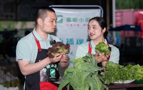 千金如玉，一口清心--生菜?油麥菜?萵筍直播專(zhuān)場(chǎng)